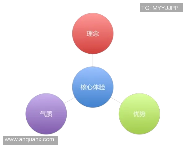 构建高效的焦点娱乐价值交付体系提升用户体验与市场竞争力